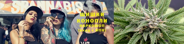 PSILOCYBIN Абаза