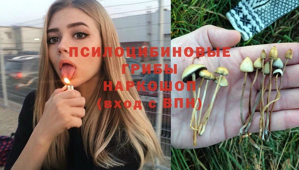 спайс Алзамай