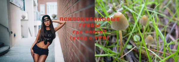 ПСИЛОЦИБИНОВЫЕ ГРИБЫ Абдулино