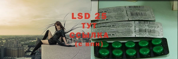 PSILOCYBIN Абаза