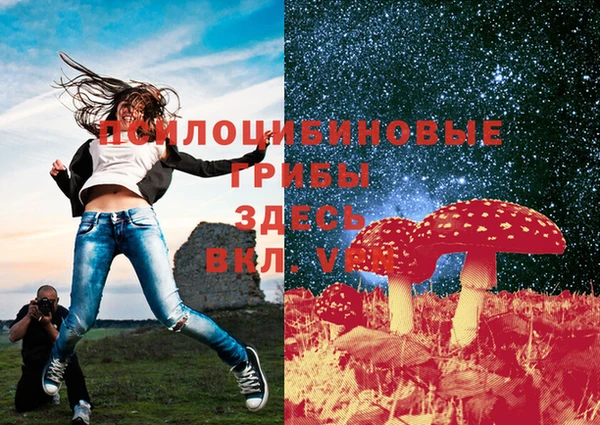 спайс Алзамай