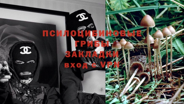 первитин Алексеевка