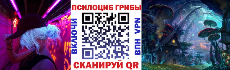дарк нет официальный сайт  кракен зеркало  Электрогорск  дарнет шоп  Галлюциногенные грибы GOLDEN TEACHER 